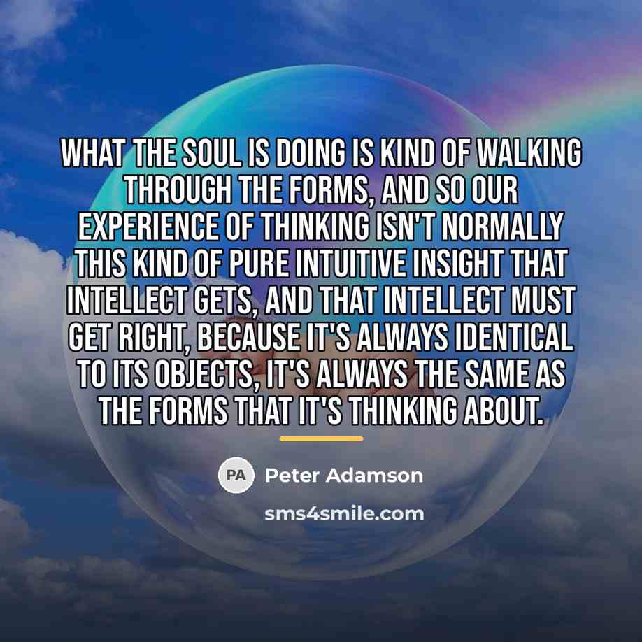 “What the soul is doing is kind of walking through…” quote by Peter Adamson