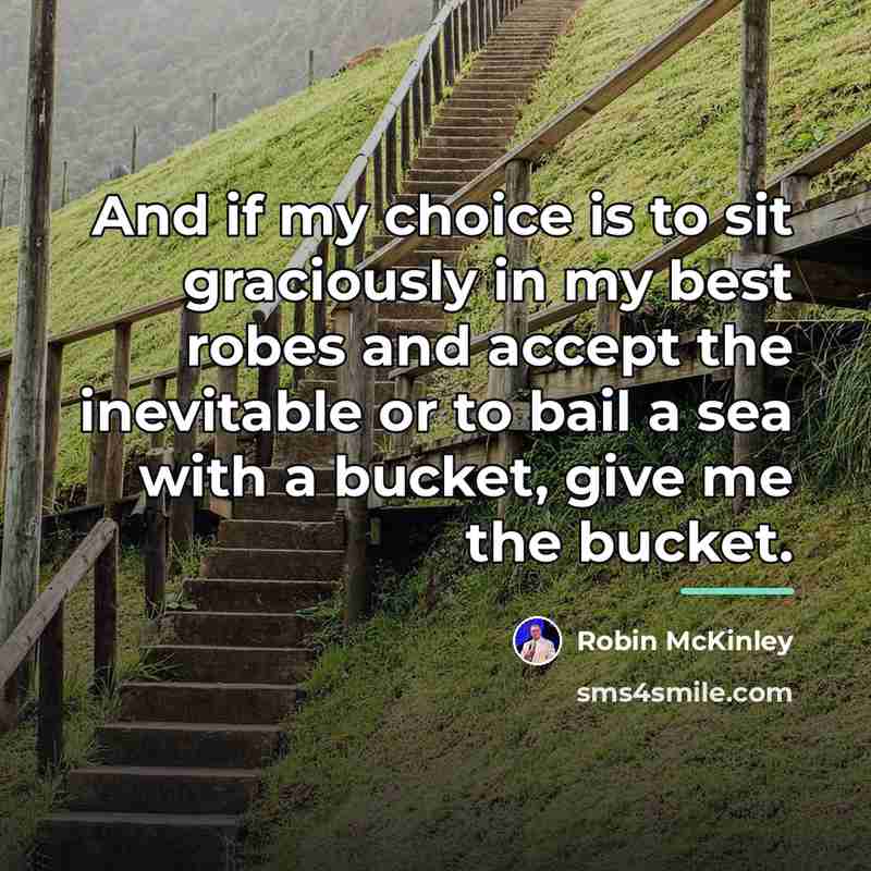 “And if my choice is to sit graciously in my…” quote by Robin McKinley