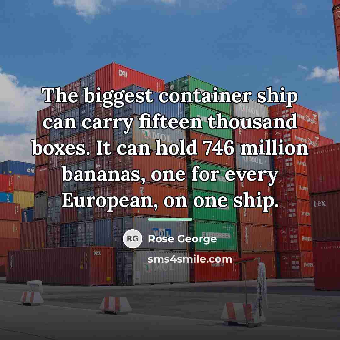 “The biggest container ship can carry fifteen thousand boxes. It…” quote by Rose George