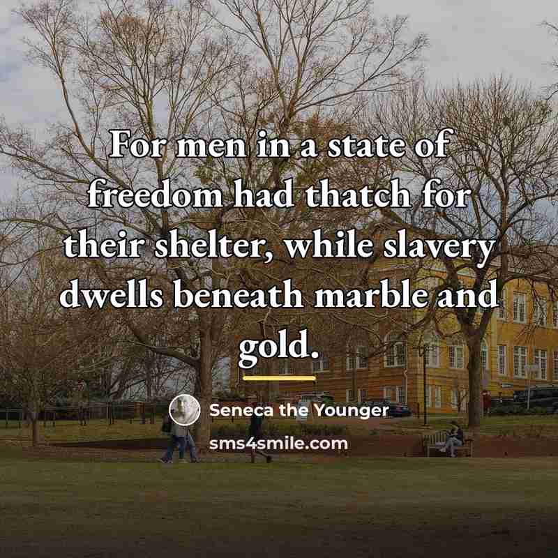“For men in a state of freedom had thatch for…” quote by Seneca the Younger