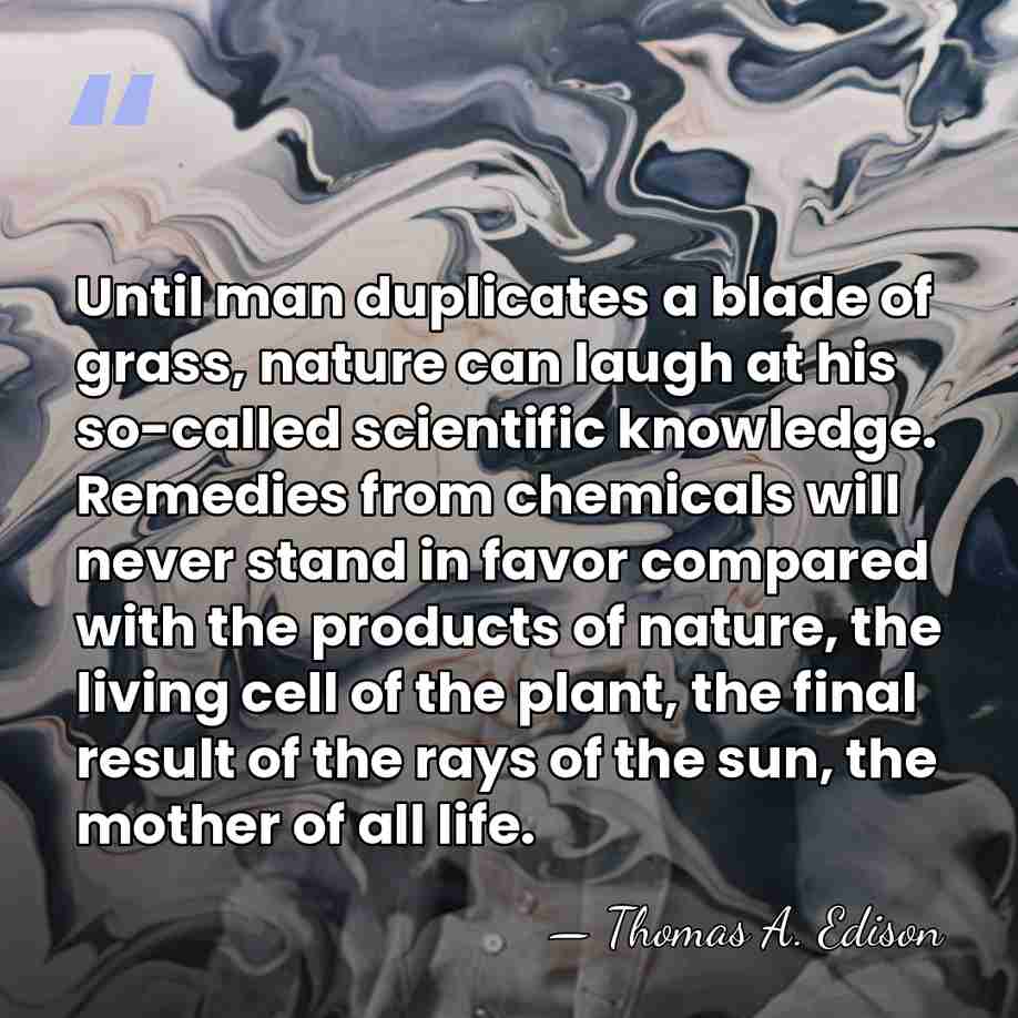 Until man duplicates a blade of grass, nature can laugh at his&hellip; - Thomas Edison