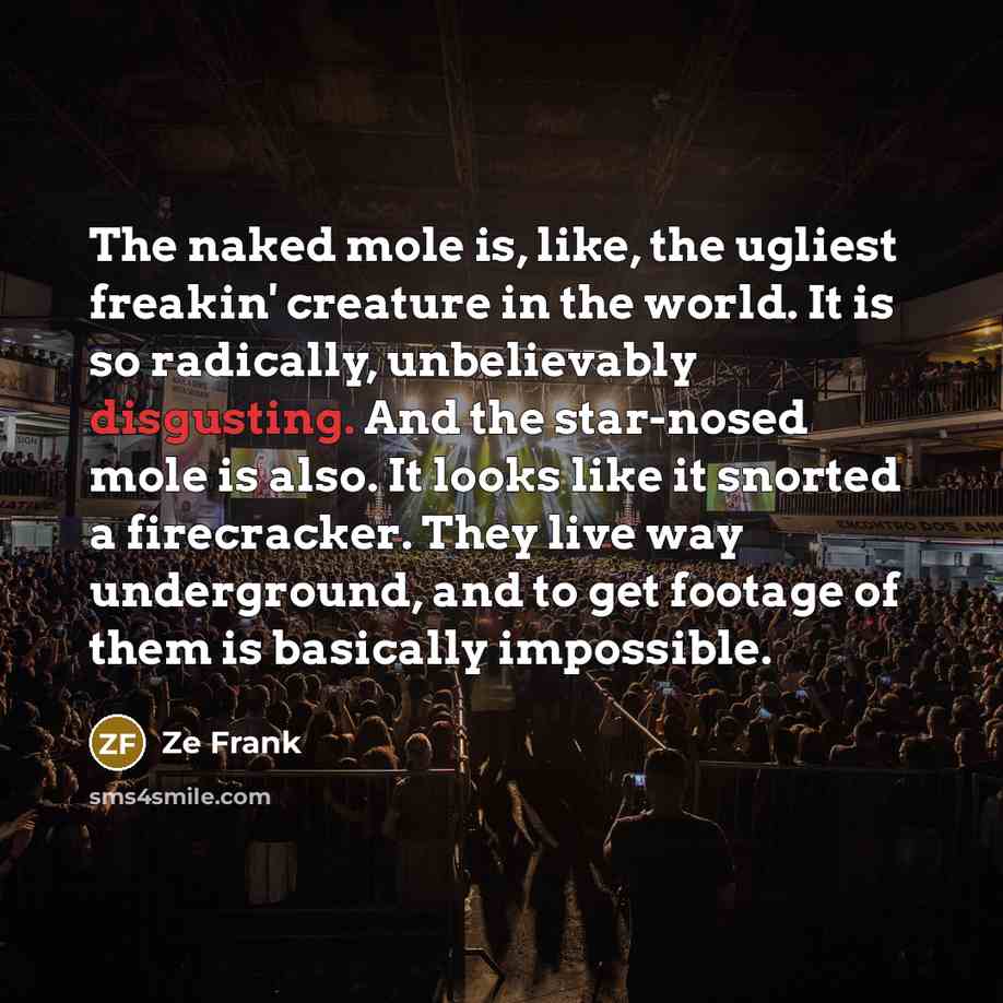 “The naked mole is, like, the ugliest freakin' creature in…” quote by Ze Frank