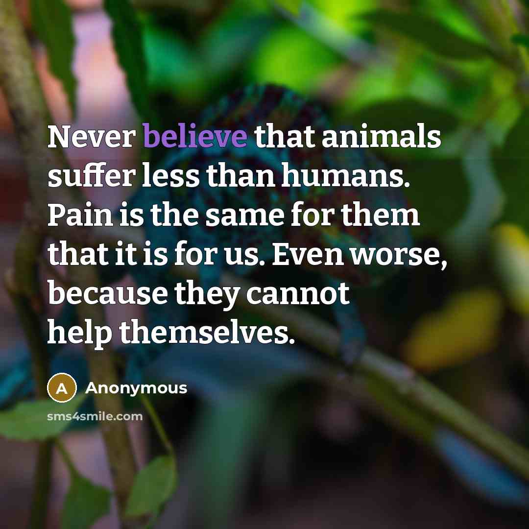 “Never believe that animals suffer less than humans. Pain is…” quote by Anonymous