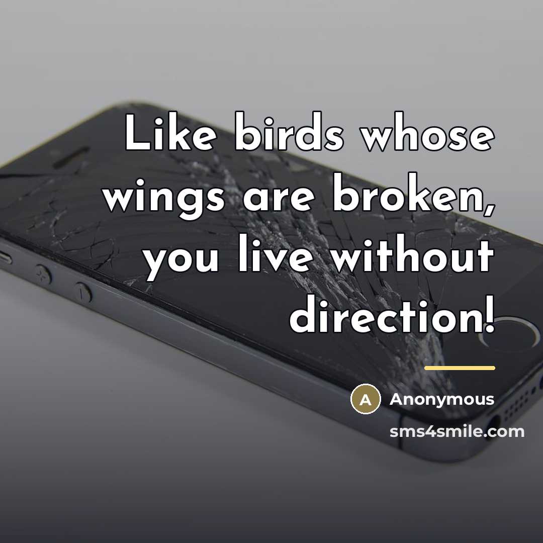 “Like birds whose wings are broken, you live without direction!…” quote by Anonymous