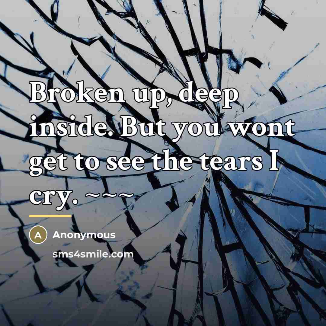 “Broken up, deep inside. But you wont get to see…” quote by Anonymous