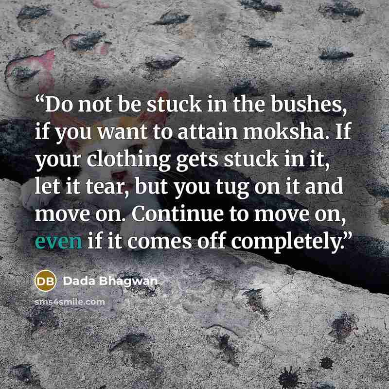 “Do not be stuck in the bushes, if you want to attain moksha. If your clothing gets stuck in it, let it tear, but you tug on it and move on. Continue to move on, even if it comes off completely.” quote by Dada Bhagwan