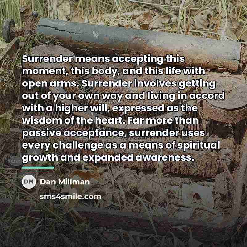 “Surrender means accepting this moment, this body, and this life…” quote by Dan Millman
