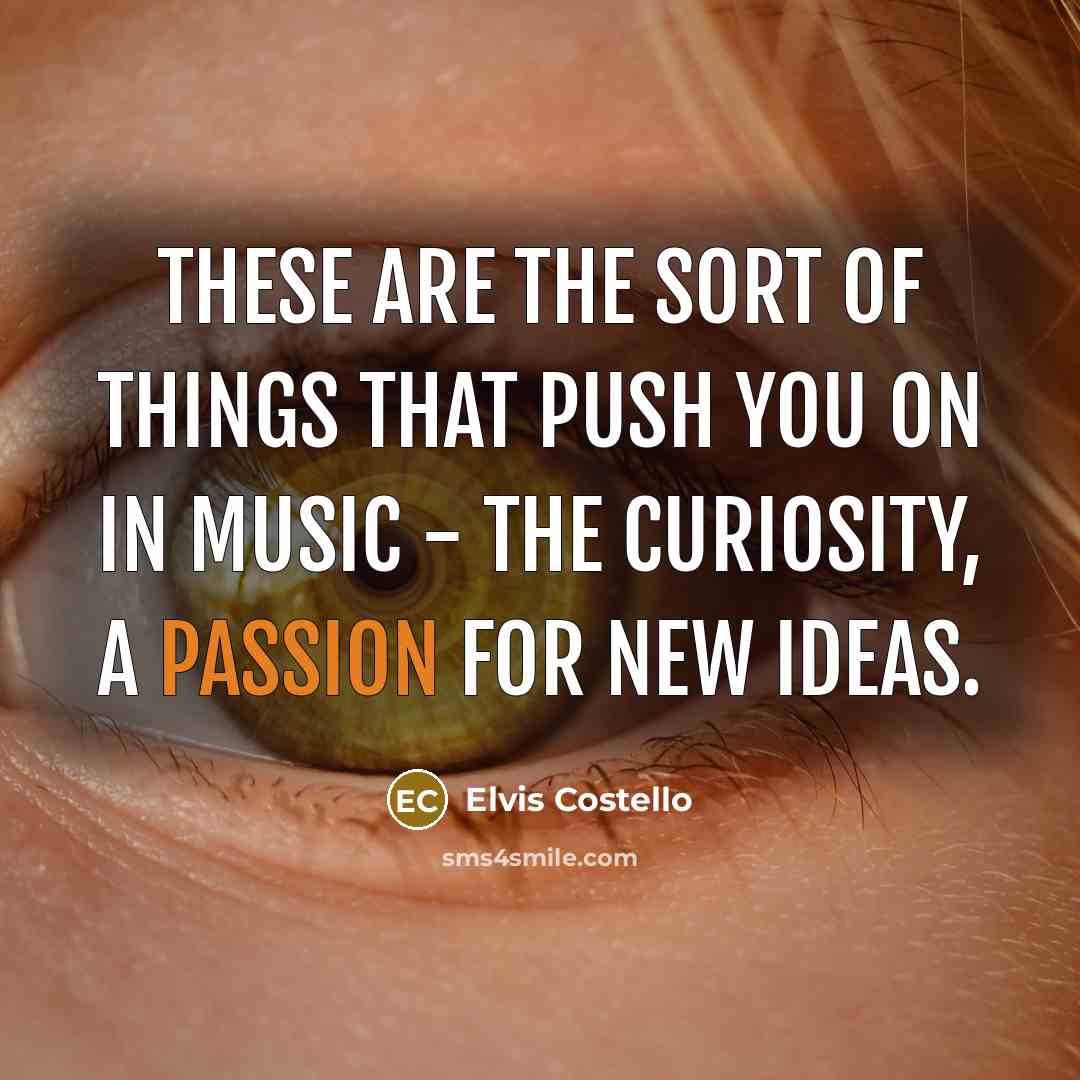 “These are the sort of things that push you on…” quote by Elvis Costello