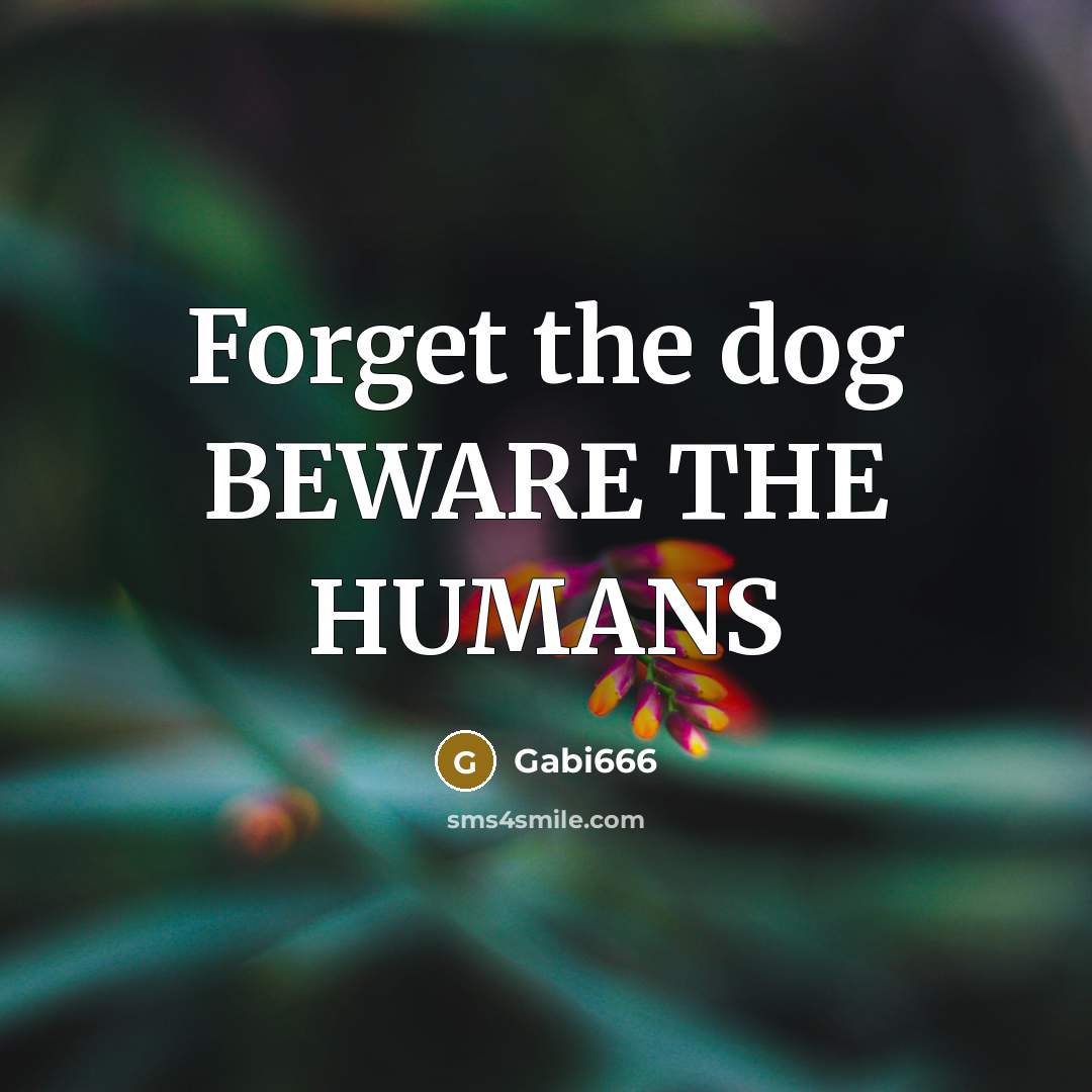 “Forget the dog BEWARE THE HUMANS…” quote by Gabi666