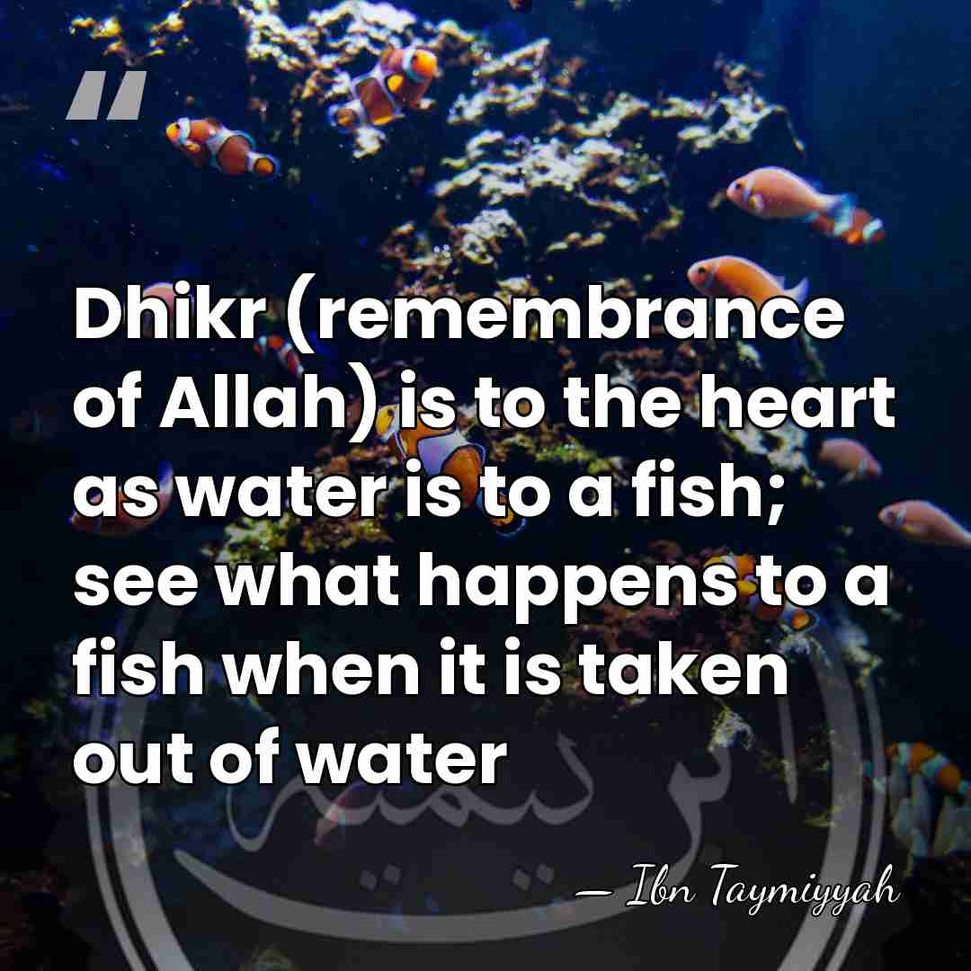 Dhikr (remembrance of Allah) is to the heart as water is to&hellip; - Ibn Taymiyyah