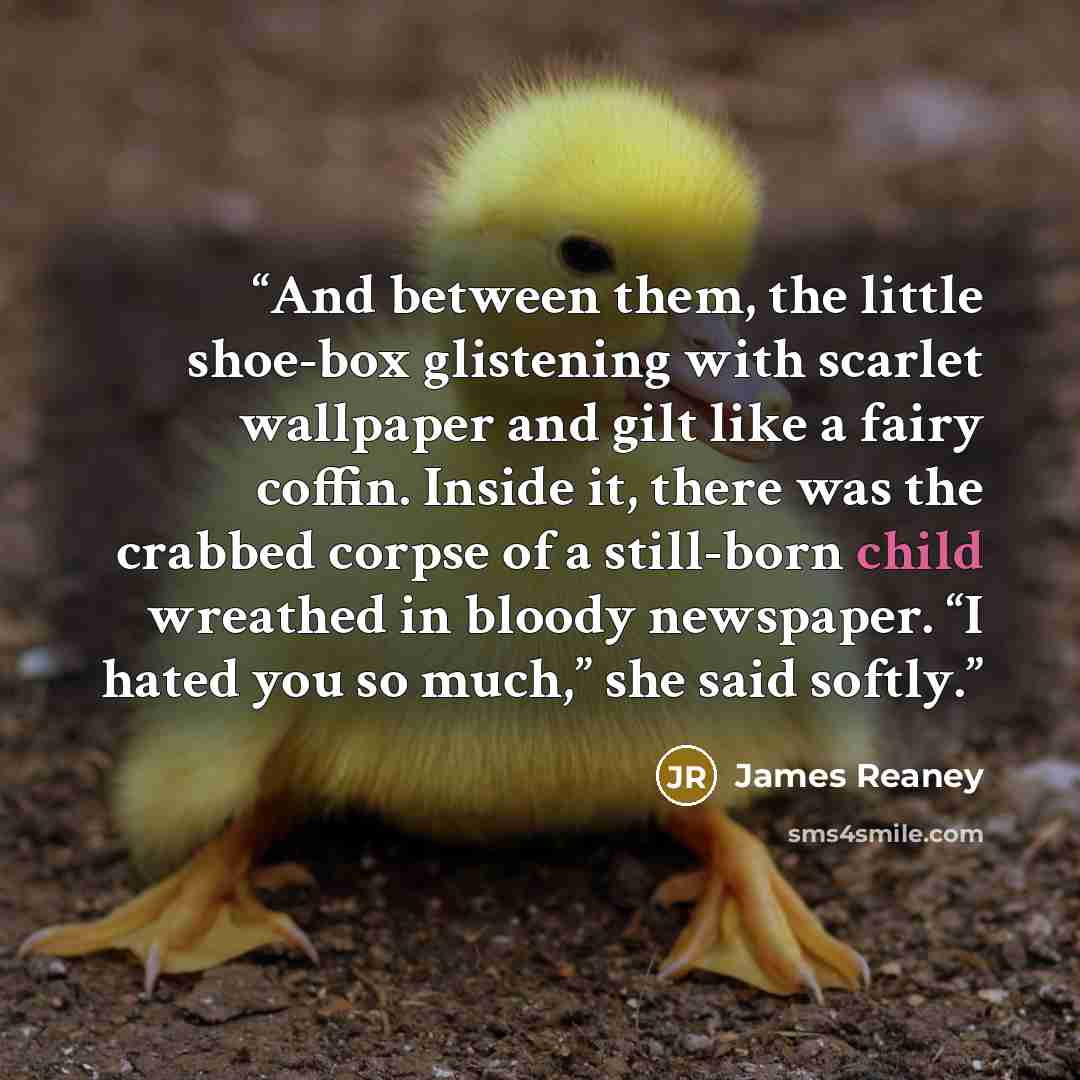 “And between them, the little shoe-box glistening with scarlet wallpaper and gilt like a fairy coffin. Inside it, there was the crabbed corpse of a still-born child wreathed in bloody newspaper. “I hated you so much,” she said softly.” quote by James Reaney