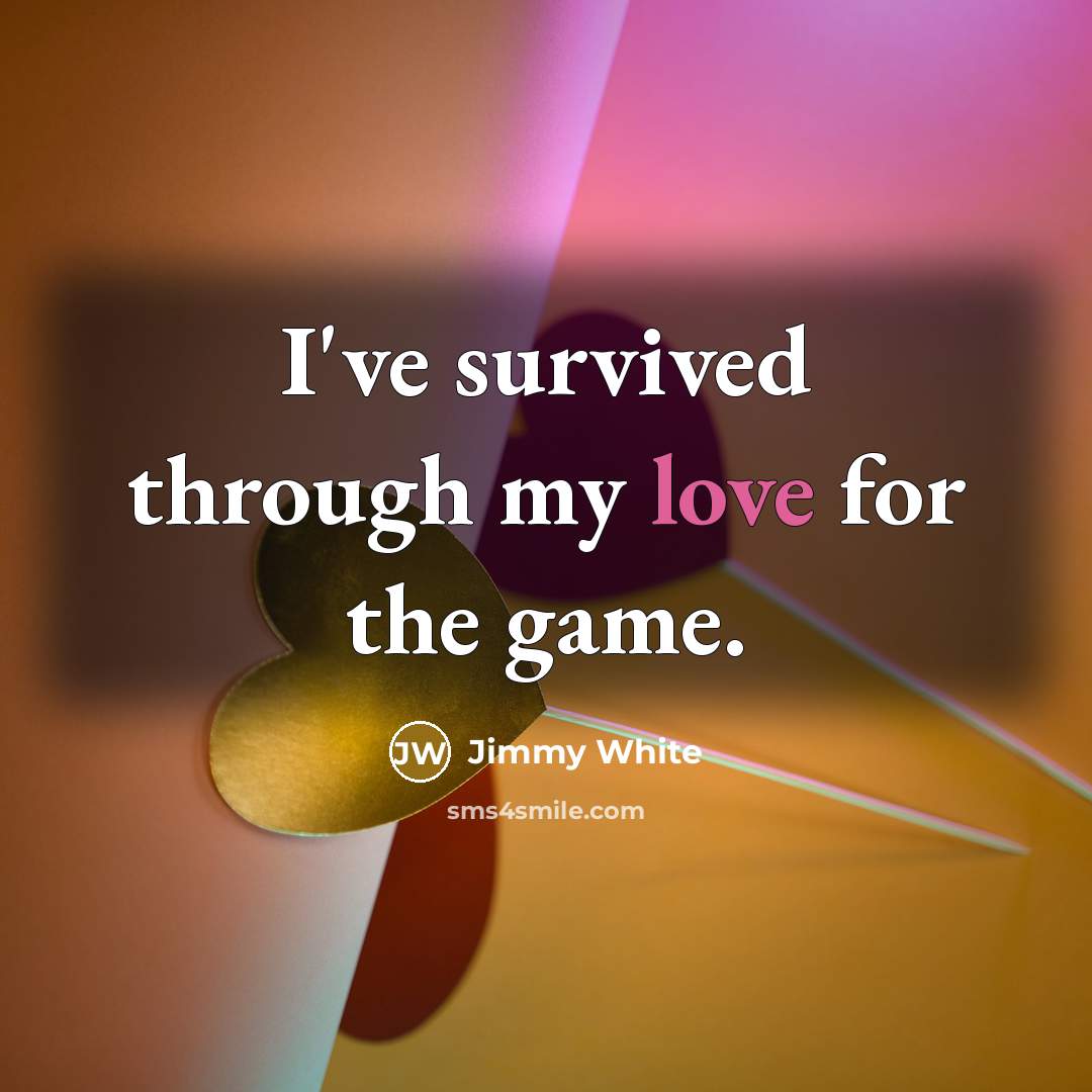 “I've survived through my love for the game.” quote by Jimmy White