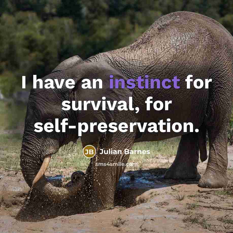 “I have an instinct for survival, for self-preservation.…” quote by Julian Barnes
