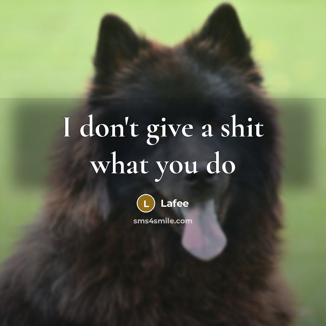 “I don't give a shit what you do” quote by Lafee