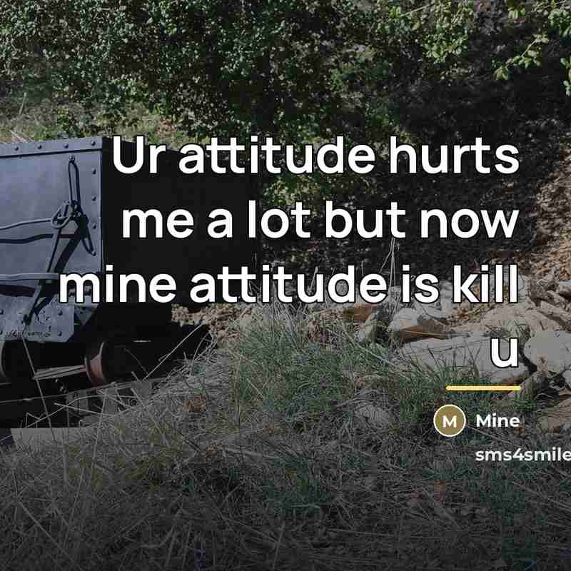 “Ur attitude hurts me a lot but now mine attitude…” quote by Mine