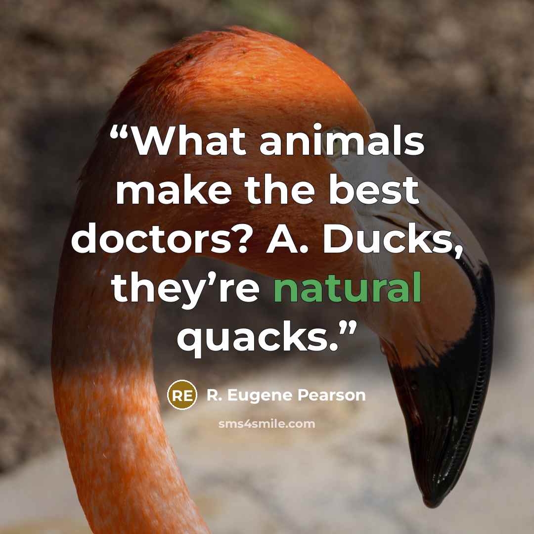 “What animals make the best doctors? A. Ducks, they’re natural quacks.” quote by R. Eugene Pearson
