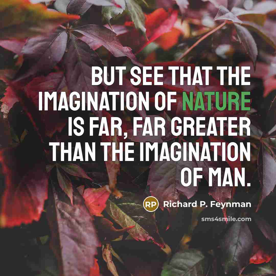 “But see that the imagination of nature is far, far…” quote by Richard P. Feynman