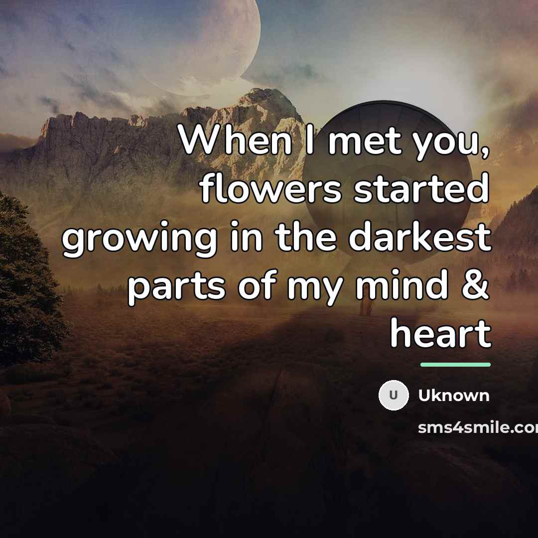 “When I met you, flowers started growing in the darkest…” quote by Uknown
