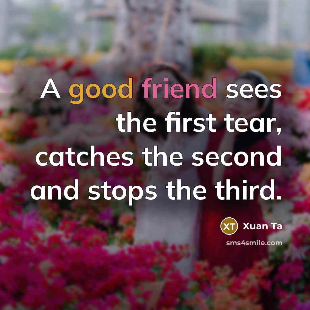 “A good friend sees the first tear, catches the second…” quote by Xuan Ta