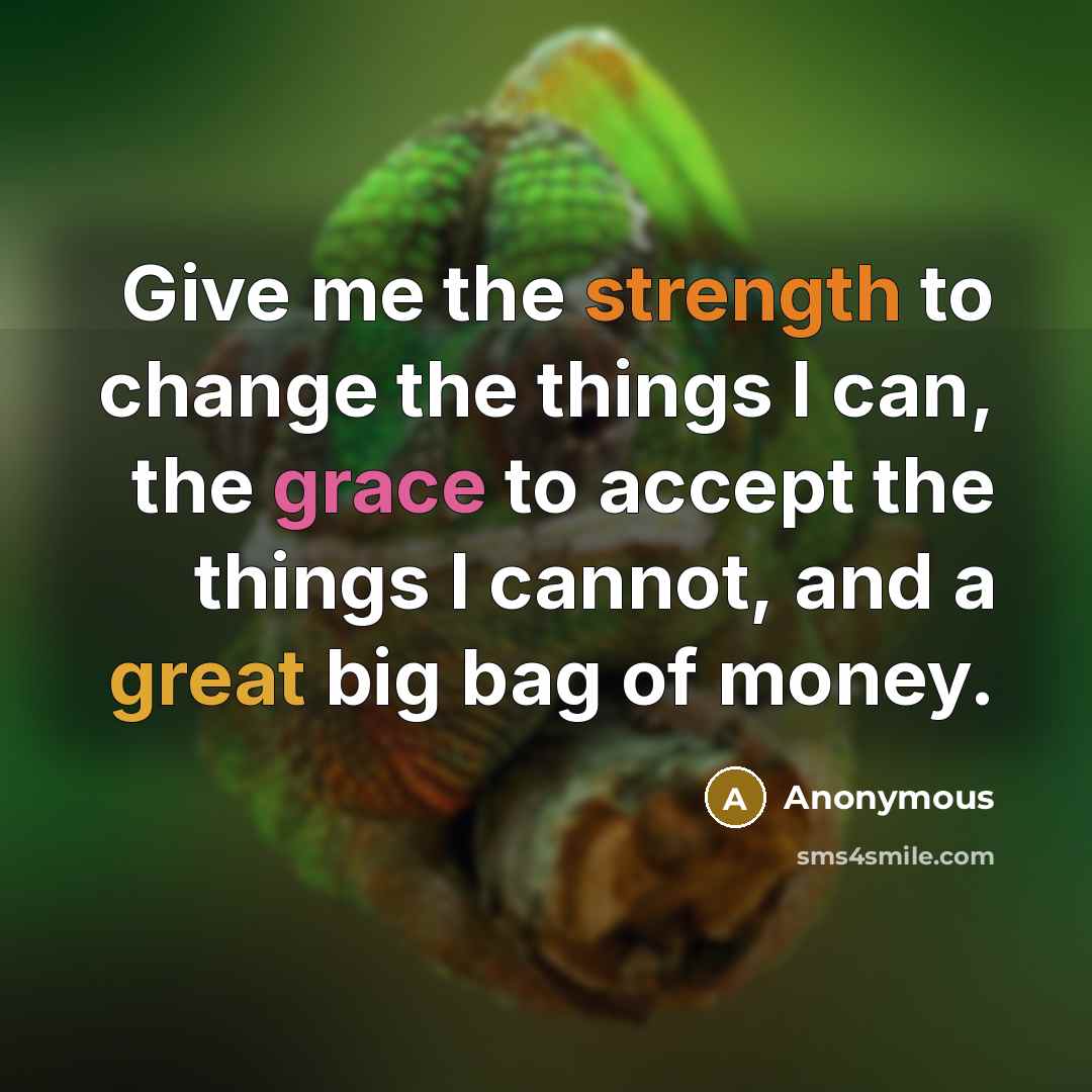 “Give me the strength to change the things I can, the grace to accept the things I cannot, and a great big bag of money.” quote by Anonymous