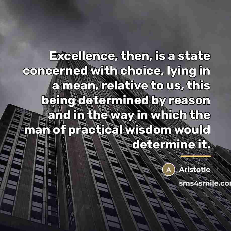 “Excellence, then, is a state concerned with choice, lying in…” quote by Aristotle