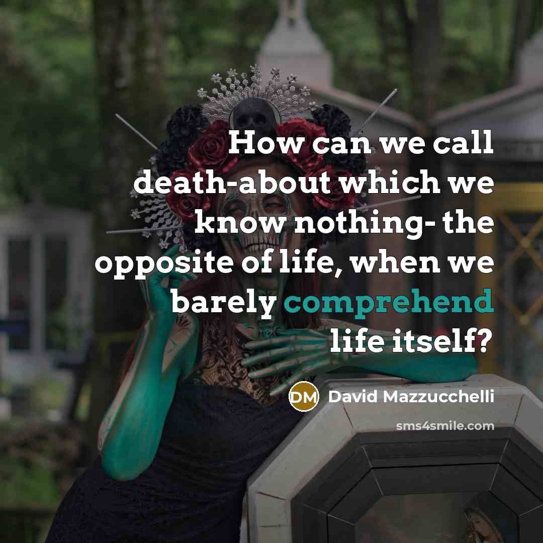 “How can we call death-about which we know nothing- the…” quote by David Mazzucchelli