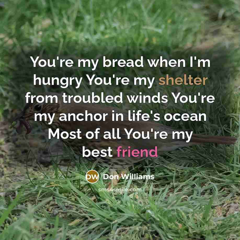 “You're my bread when I'm hungry You're my shelter from…” quote by Don Williams