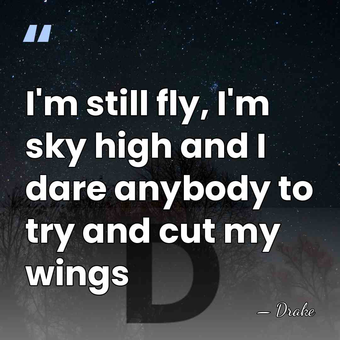 I'm still fly, I'm sky high and I dare anybody to try&hellip; - Drake