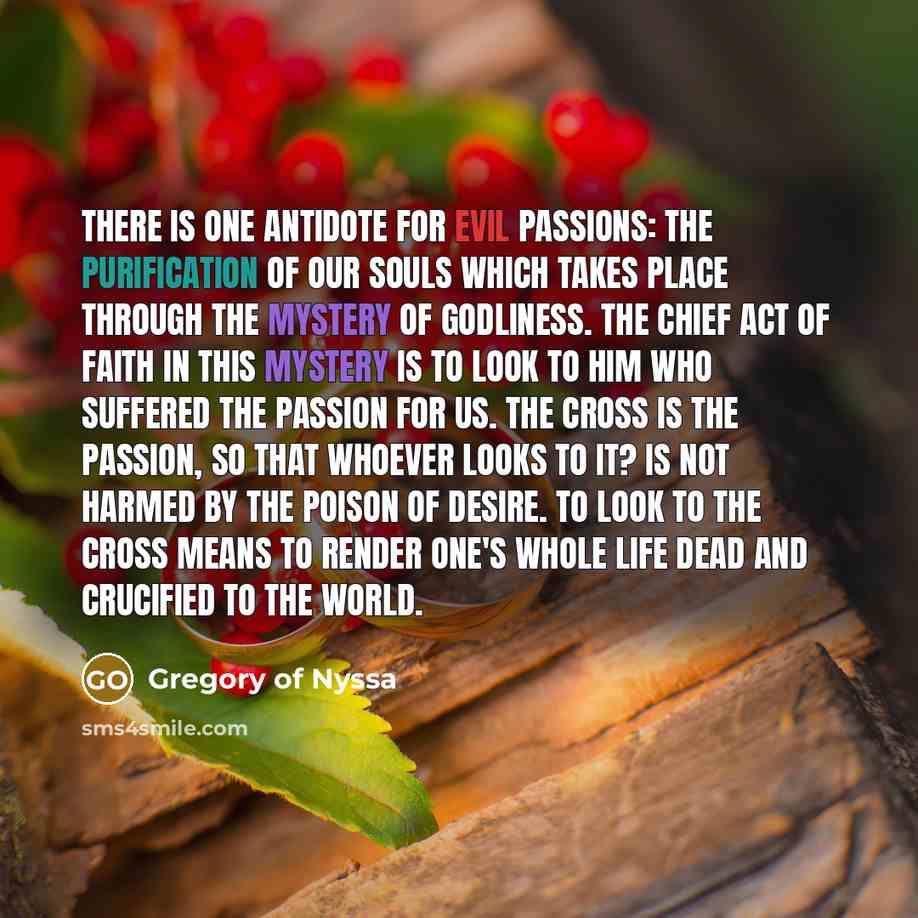 “There is one antidote for evil passions: the purification of…” quote by Gregory of Nyssa