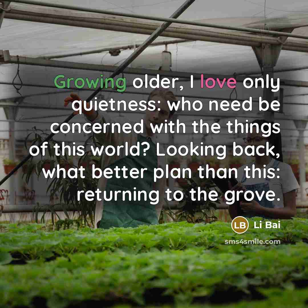 “Growing older, I love only quietness: who need be concerned…” quote by Li Bai