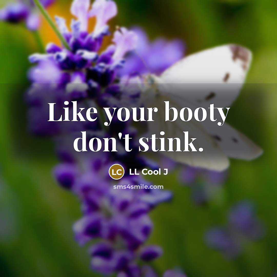 “Like your booty don't stink.…” quote by LL Cool J