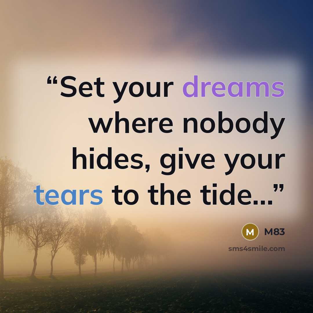 “Set your dreams where nobody hides, give your tears to the tide...” quote by M83