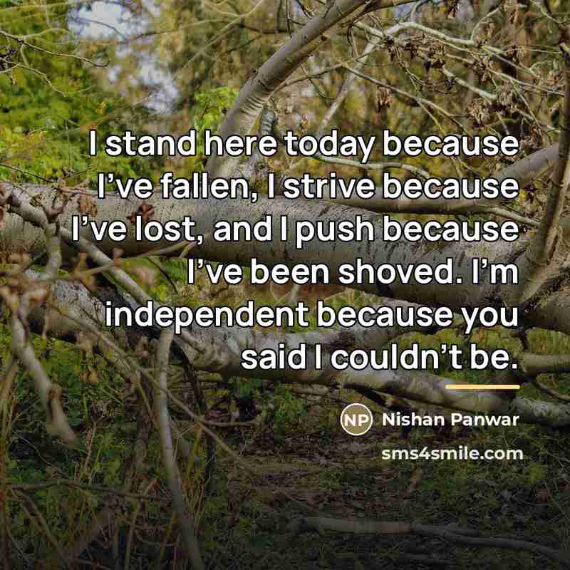 “I stand here today because I've fallen, I strive because…” quote by Nishan Panwar