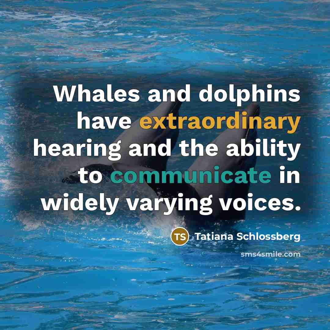 “Whales and dolphins have extraordinary hearing and the ability to…” quote by Tatiana Schlossberg