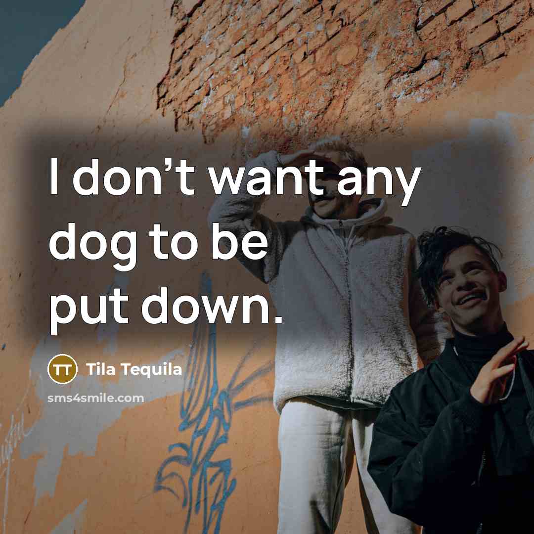 “I don't want any dog to be put down.…” quote by Tila Tequila