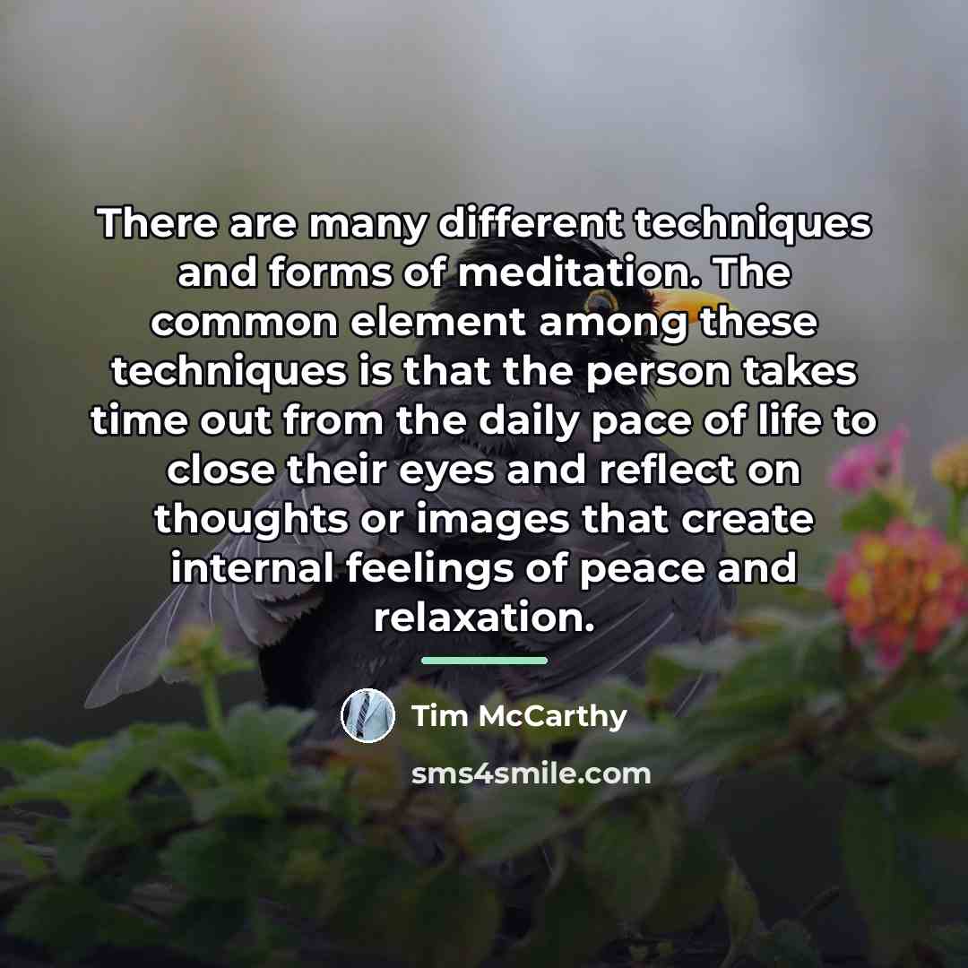 “There are many different techniques and forms of meditation. The…” quote by Tim McCarthy