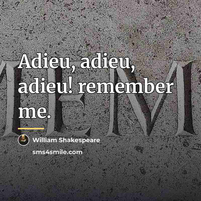 “Adieu, adieu, adieu! remember me.…” quote by William Shakespeare