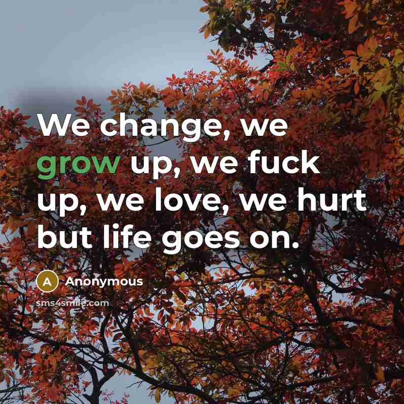 “We change, we grow up, we fuck up, we love, we hurt but life goes on.” quote by Anonymous