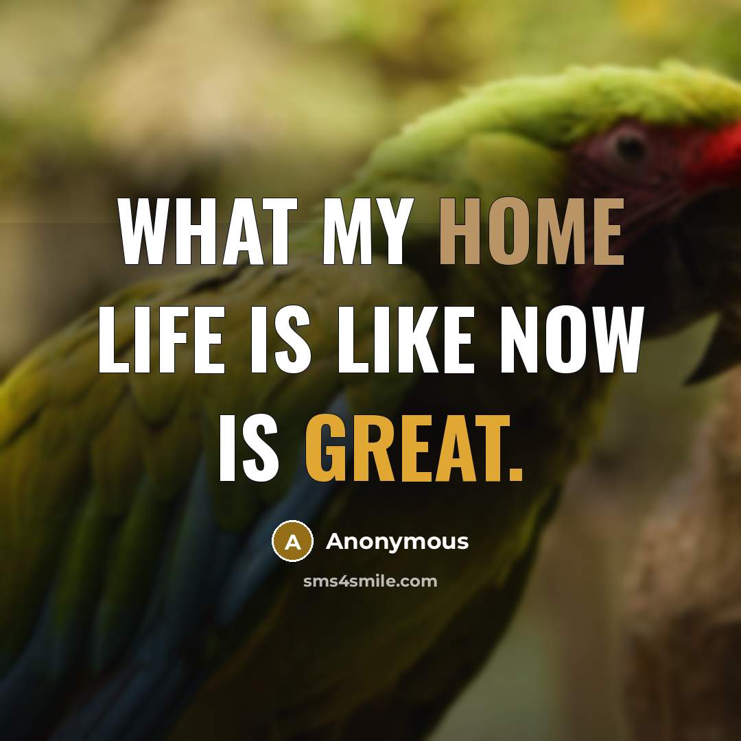 “What my home life is like now is great.” quote by Anonymous