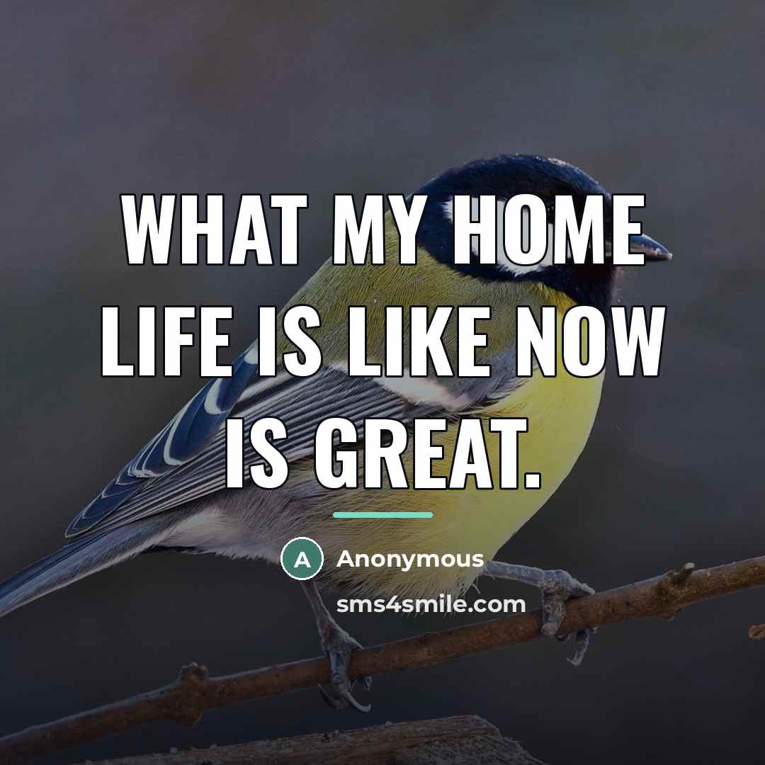 “What my home life is like now is great.…” quote by Anonymous