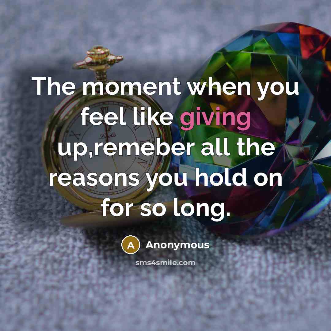 “The moment when you feel like giving up,remeber all the reasons you hold on for so long.” quote by Anonymous