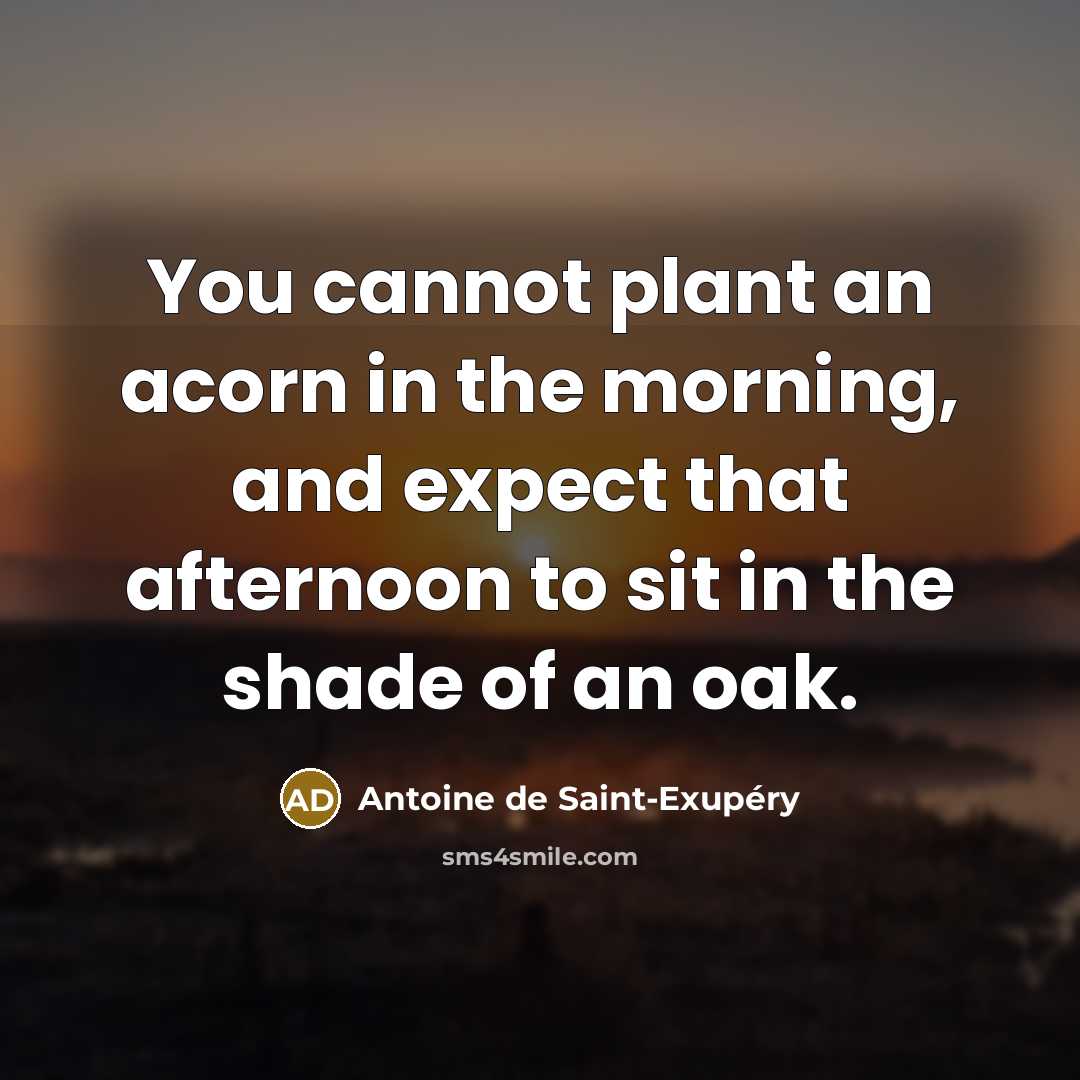 “You cannot plant an acorn in the morning, and expect…” quote by Antoine de Saint-Exupery