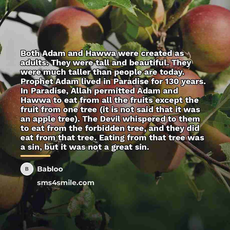 “Both Adam and Hawwa were created as adults. They were…” quote by Babloo