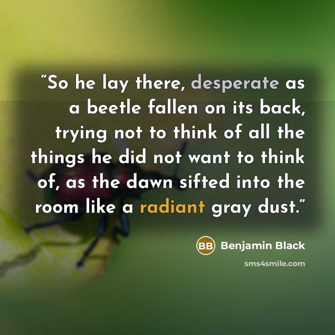 “So he lay there, desperate as a beetle fallen on its back, trying not to think of all the things he did not want to think of, as the dawn sifted into the room like a radiant gray dust.” quote by Benjamin Black