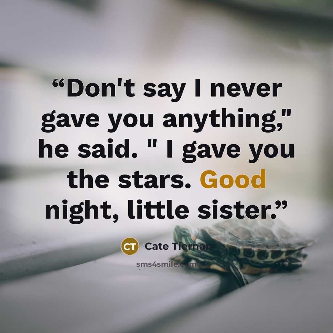 “Don't say I never gave you anything," he said. " I gave you the stars. Good night, little sister.” quote by Cate Tiernan