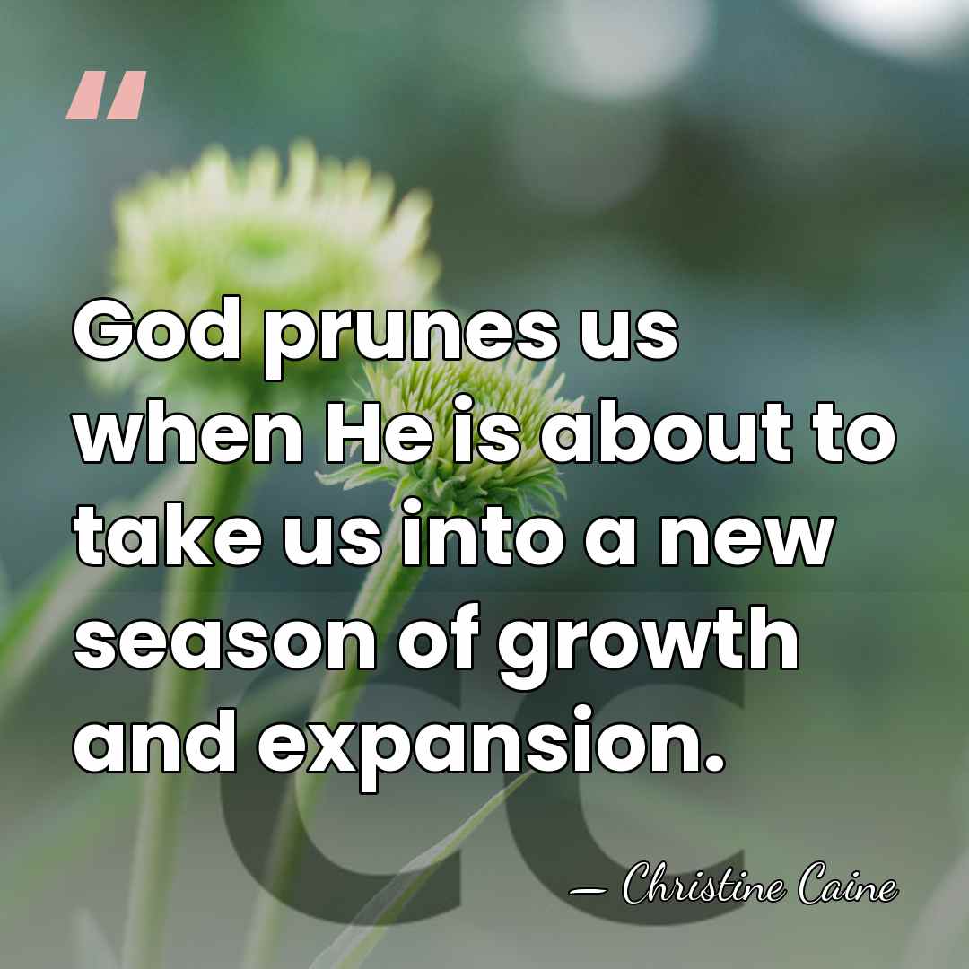 God prunes us when He is about to take us into a&hellip; - Christine Caine