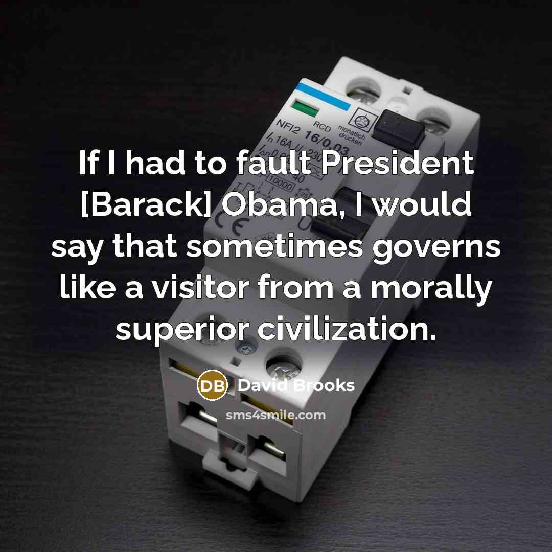 “If I had to fault President [Barack] Obama, I would…” quote by David Brooks