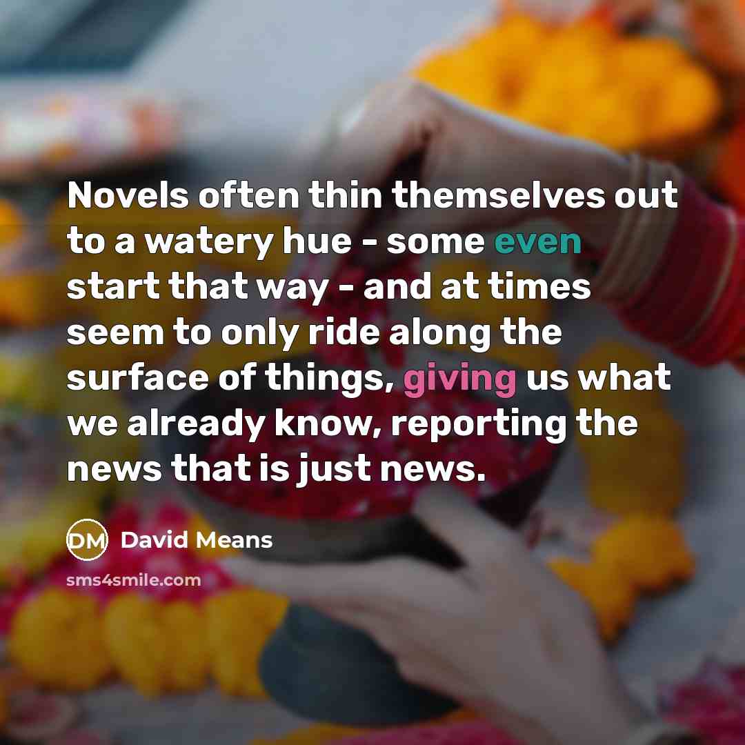 “Novels often thin themselves out to a watery hue -…” quote by David Means