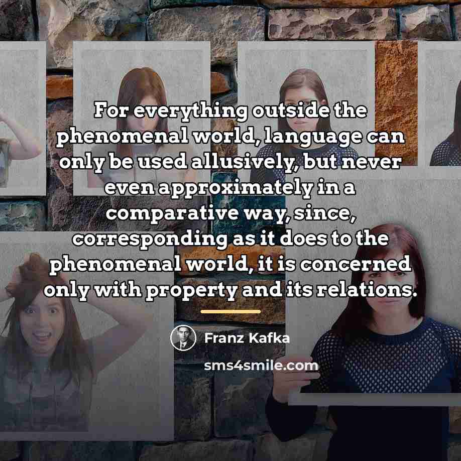 “For everything outside the phenomenal world, language can only be…” quote by Franz Kafka