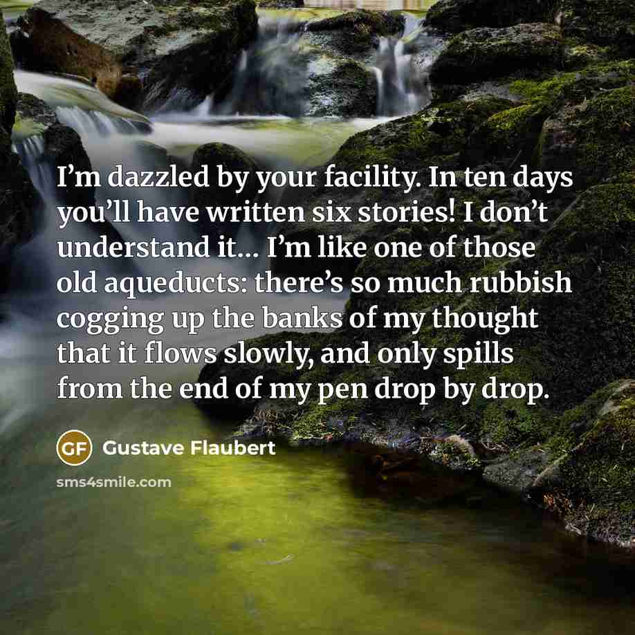 “I’m dazzled by your facility. In ten days you’ll have…” quote by Gustave Flaubert
